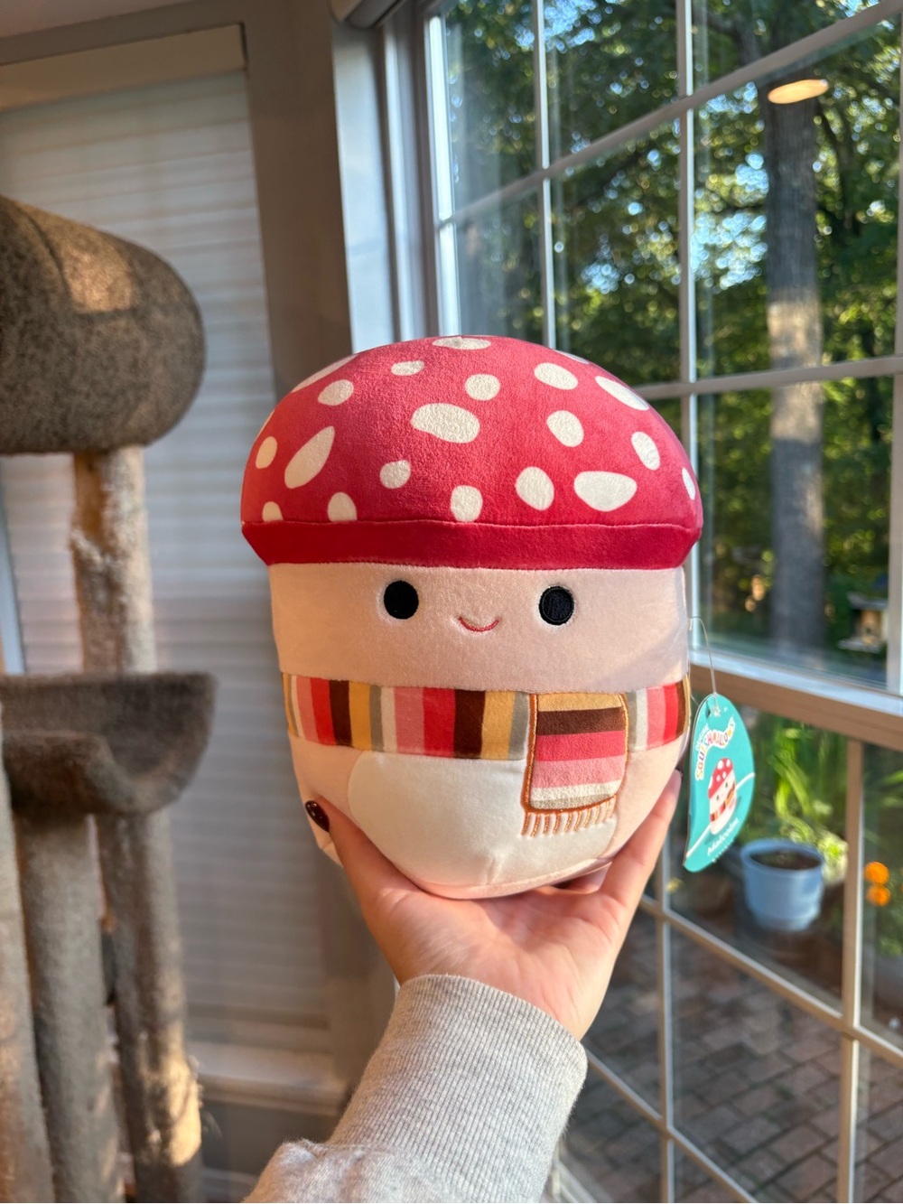 Malcom the red mushroom squishmallow with a scarf NWT 8in